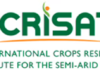 What happens when Pangenetics meets AI-powered Prediction? Next Frontier of AI-driven Crop Design AI-driven Crop Design