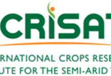 What happens when Pangenetics meets AI-powered Prediction? Next Frontier of AI-driven Crop Design AI-driven Crop Design