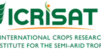 What happens when Pangenetics meets AI-powered Prediction? Next Frontier of AI-driven Crop Design AI-driven Crop Design