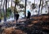 Thermal Drone for Forest Fire Detection