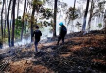 Thermal Drone for Forest Fire Detection: UB Forest Deploys Matrice 30T to Detect Hotspots and Strengthen Fire Monitoring Thermal Drone for Forest Fire Detection