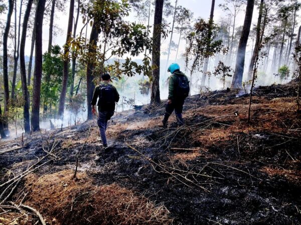 Thermal Drone for Forest Fire Detection Thermal Drone for Forest Fire Detection