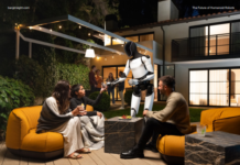 Humanoid Robotics Market