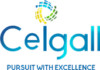 Ceigall India Solar Project Reaches 10 MW Capacity in Maharashtra Ceigall India Solar Project