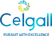 Ceigall India Solar Project