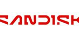 SanDisk NAS SSD